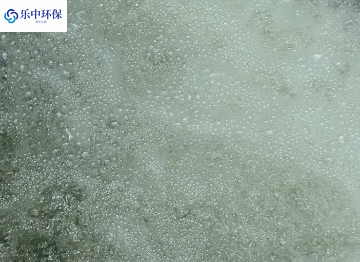 溶氣氣浮機(jī)泡沫多什么原因？如何解決？