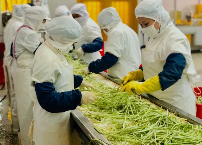 三種食品污水處理設(shè)備工藝流程，看看哪種適合您？