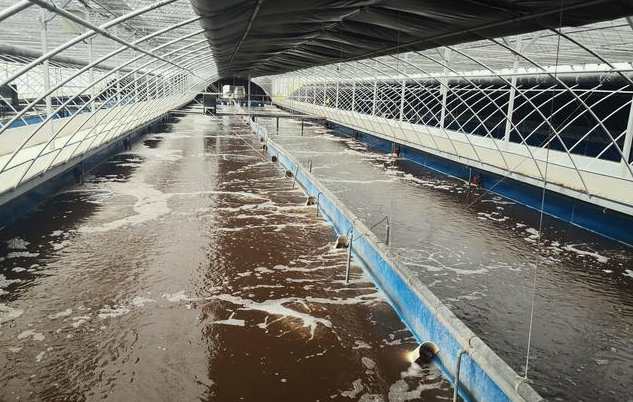 畜禽污水處理的方法、步驟（主流畜禽污水處理工藝有哪些）